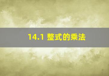 14.1 整式的乘法